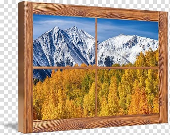 Window Larch Painting Frames Nature, autumn forest transparent background PNG clipart