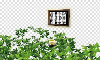 Window Leaf, Leaves, windows transparent background PNG clipart