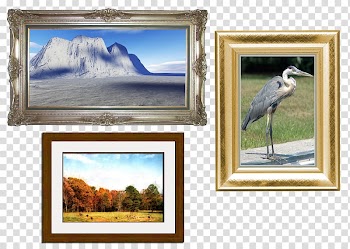 Window Painting Frames Fauna, window transparent background PNG clipart