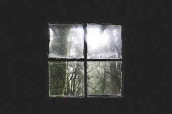 window panel