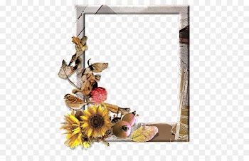 Window Picture Frames Floral design Flower Photography - aggies frame 