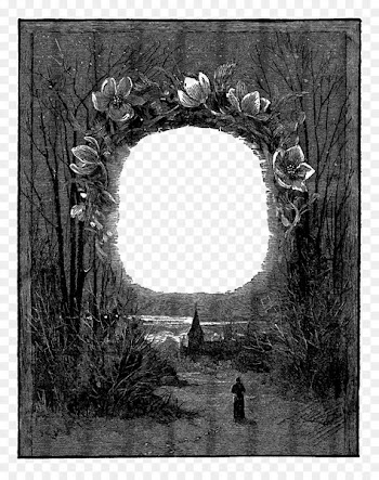 Window Picture Frames Still life photography - polaroid frame png 