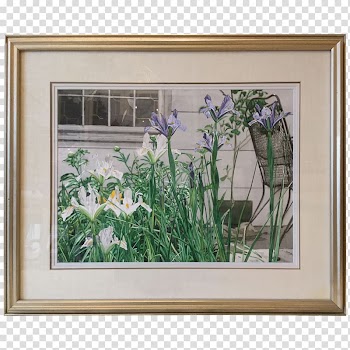 Window Still life Watercolor painting Frames Flower, window transparent background PNG clipart