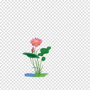 Window Wall decal Sticker, lotus leaf transparent background PNG clipart