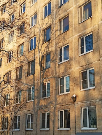 Windows of a Brown Building