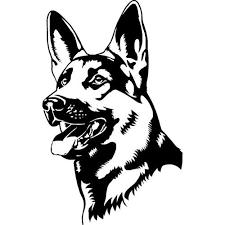 Windy Hill German Shepherds - Home