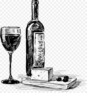 Wine Beer Common Grape Vine Happy hour Bottle - Hand drawn sketch drinks vector material 