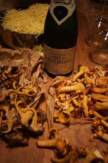 Wine Bottle and Mushrooms