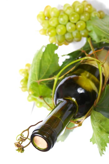 wine bottle and young grape vine