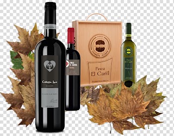 Wine Bottle Product, wine transparent background PNG clipart