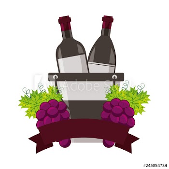 wine bottles ice bucket grapes fruit