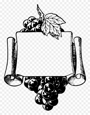 Wine Common Grape Vine Picture Frames Clip Art - Grape Frame
