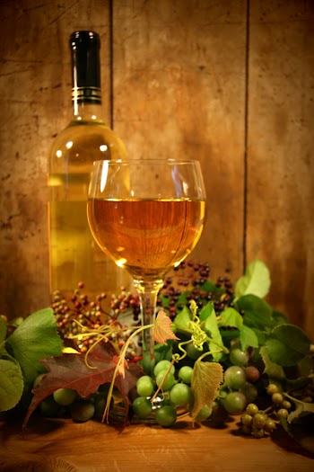 Wine glass with bottle for wine tasting