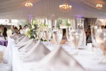 Wine Glasses on Table