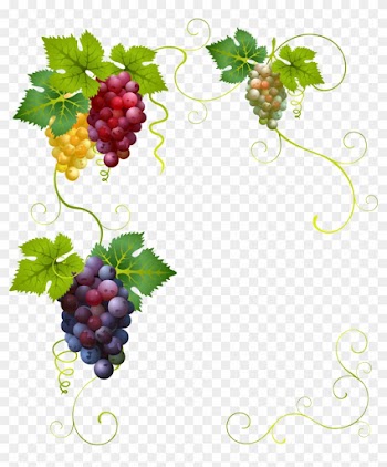 Wine Grape Divertimento Clip Art - Border Grape Vines Clip Art