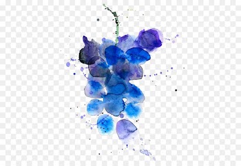 Wine Grape Watercolor painting Fruit Illustration - grape 