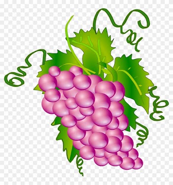 Wine Grapes Clipart - Grapes Tree Clip Art