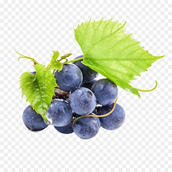 Wine Oolong Grape seed extract Proanthocyanidin - grape 