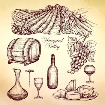 Wine sketch collection Free Vector