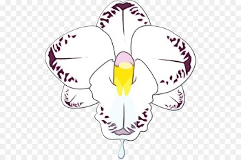wing beak clip art plant flower