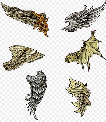 Wing Clip art - Color Collection Wings Vector Image 