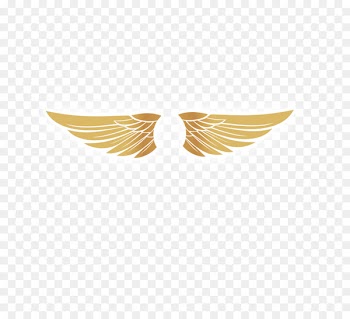 Wing Clip art - Golden wings 