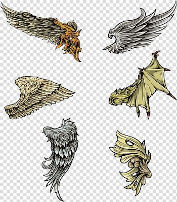 Wing , Color Collection Wings transparent background PNG clipart