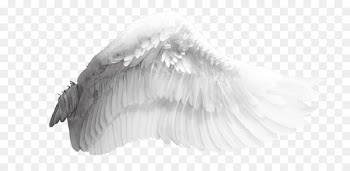 Wing Download Bird - Angel wings 