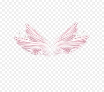 Wing Elements, Hong Kong Download Clip art - Pink Wings 