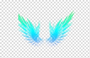 Wing , Feather Light transparent background PNG clipart