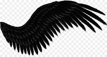 Wing Gift Carnival - As ASAS. PNG gr&aacute;tis 