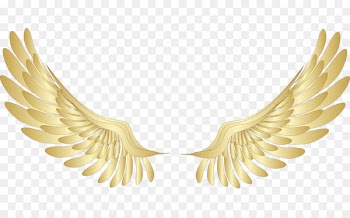 Wing Gold Clip art - Golden wings Photos 