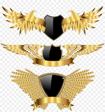 Wing - Golden wings 