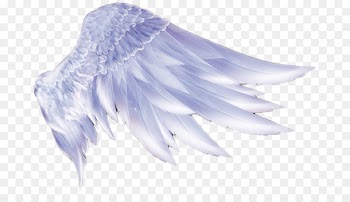 Wing Icon - Angel wings 