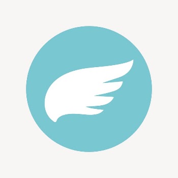 Wing icon, flat graphic vector | Free Icons - rawpixel