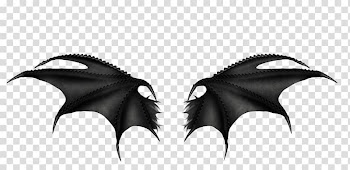 Wing , others transparent background PNG clipart