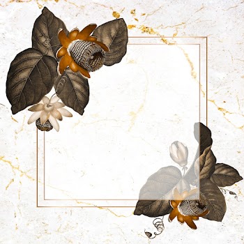 Winged passion flower frame | Free stock vector - 1016573