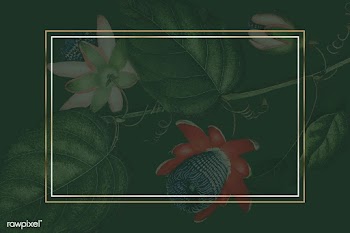 Winged passion flower frame | Free stock vector - 1016590