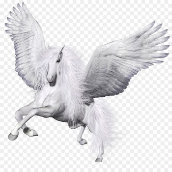Winged unicorn Pegasus Horse Pillow - Pegasus 
