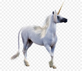 Winged unicorn Pegasus Unicorn horn - unicorn horn 