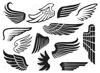Wings Collection Set Of Wings Royalty Free Cliparts, Vectors, And ...
