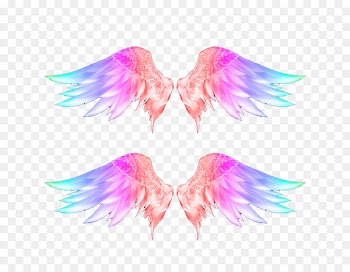 Wings Feather Download - Color Wings Photos 