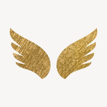 Wings icon, gold illustration vector | Free Icons - rawpixel