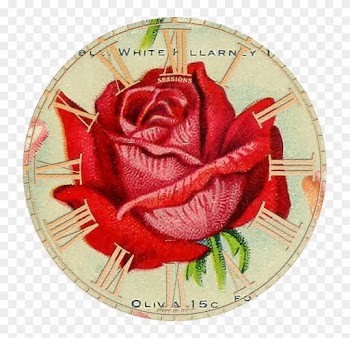 Wings Of Whimsy - Garden Roses