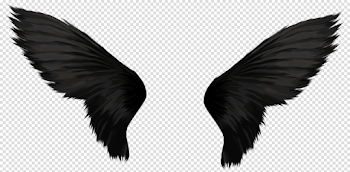 Wings PNG images free download, angel wings PNG