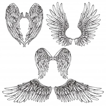 Wings sketch set Free Vector