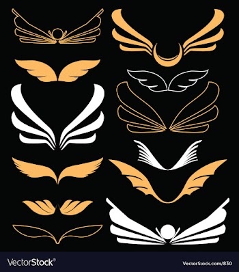 Wings vector image
