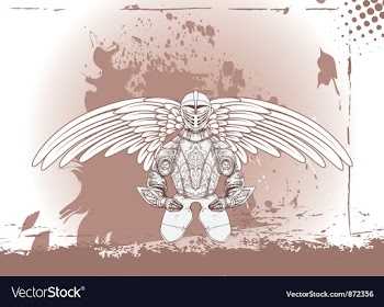 Wings with armor vector image