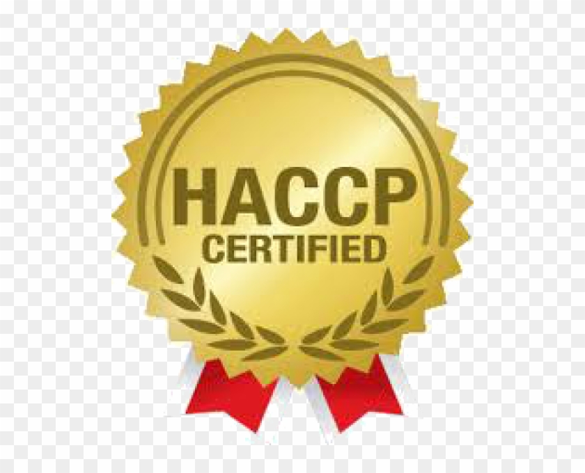 Winner Plus Holistic Lamb 100% &amp; Potato 12 Kg - Logo Haccp Certified