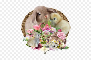 Winnipeg, Winnipeg Jets, Easter, Pink, Beige PNG